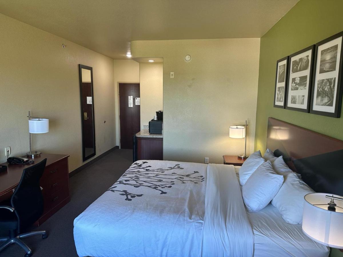 Sleep Inn & Suites At Six Flags San Antonio Ngoại thất bức ảnh